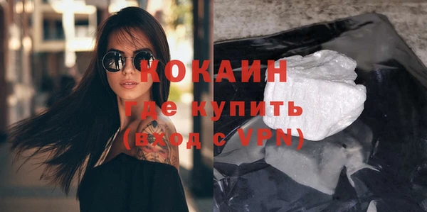 стафф Бородино