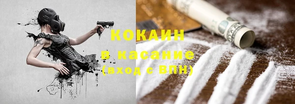 стафф Бородино