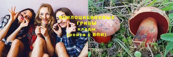 стафф Бородино