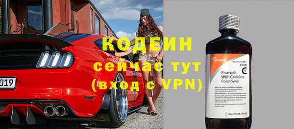 стафф Бородино