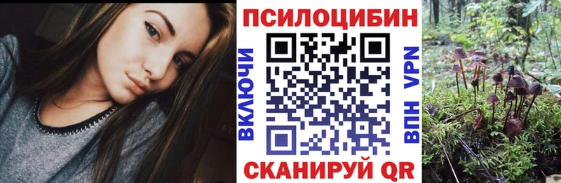 darknet какой сайт  Корсаков  Псилоцибиновые грибы MAGIC MUSHROOMS 